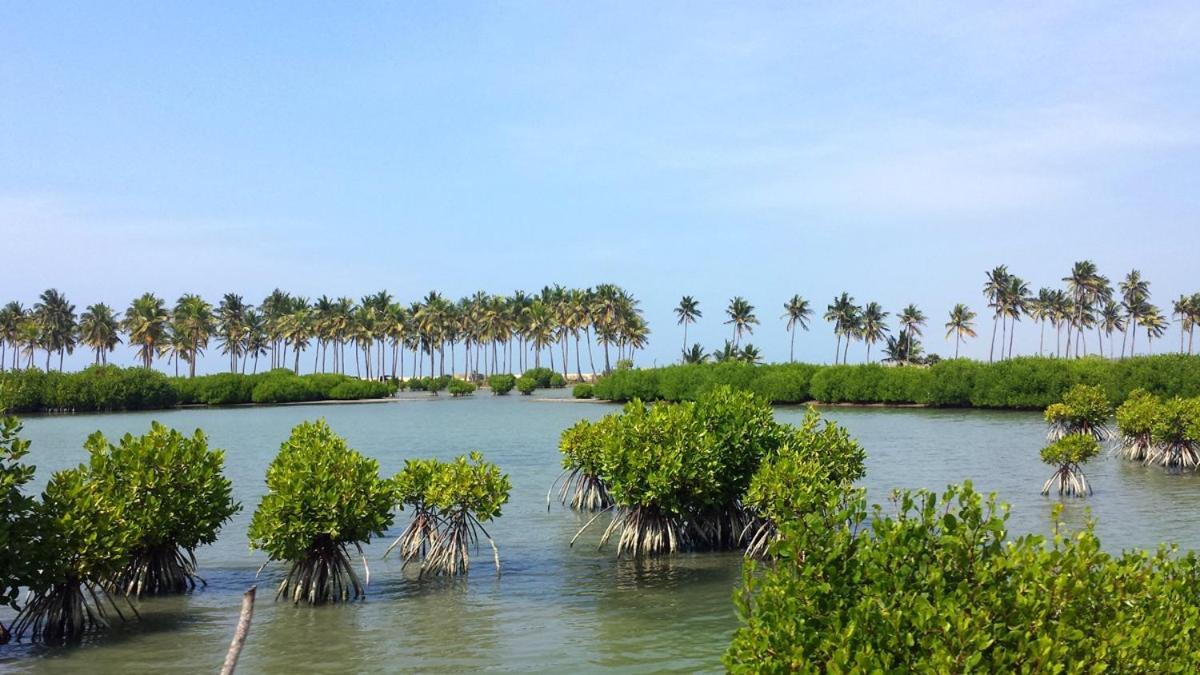 Seagulls Garden Cabanas Tangalle Exterior photo